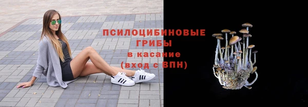 герыч Бородино